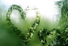 天涯神贴精品排行榜